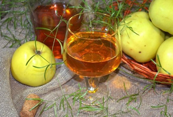 Вино из яблок в домашних условиях — простые рецепты приготовления яблочного вина этап 11