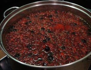 Рецепты из черноплодной рябины: вино и настойки на водке, варенье и компоты, пироги и прочие блюда