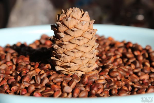 Самогон на кедровых орешках: рецепт как настоять, лечебные свойства