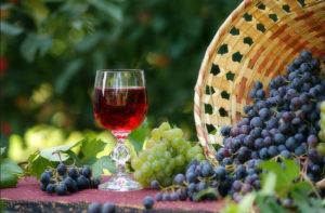 Как сделать вкусное домашнее вино из винограда